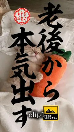 今日の格言📝