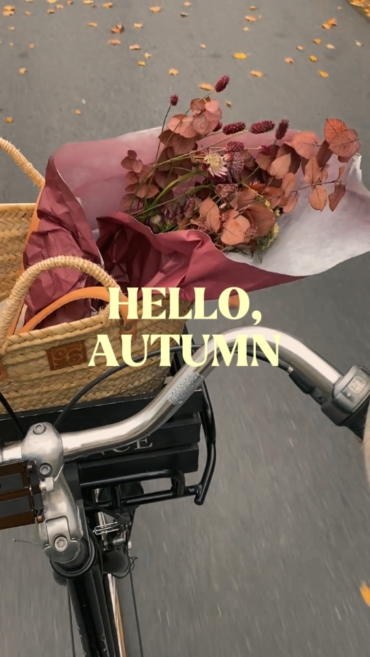 hello autumn 