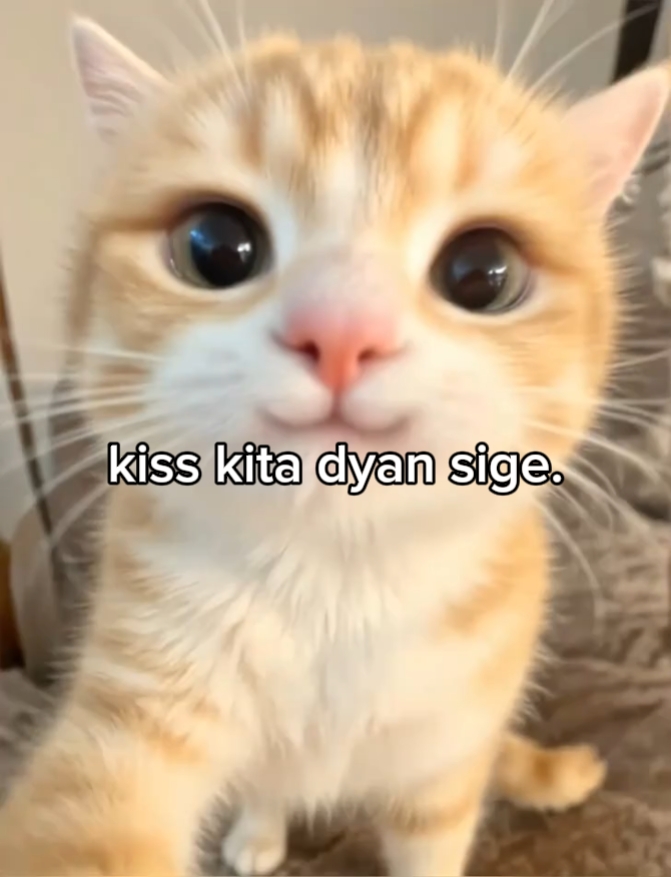 kita jan 'ı öp