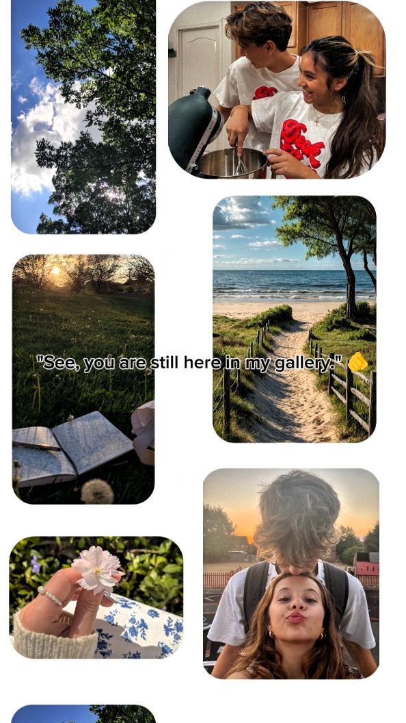 My gallery 