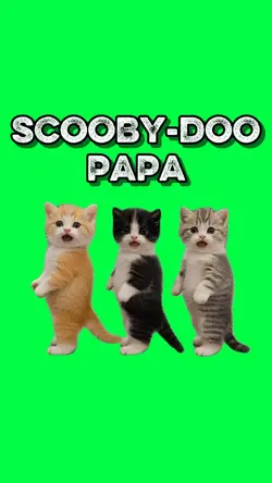 SCOOBY-DOO PAPA CATS
