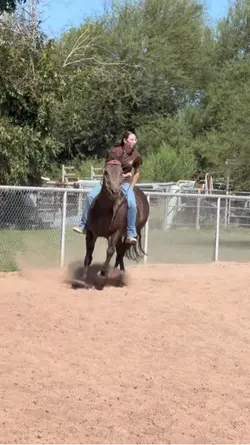 bareback