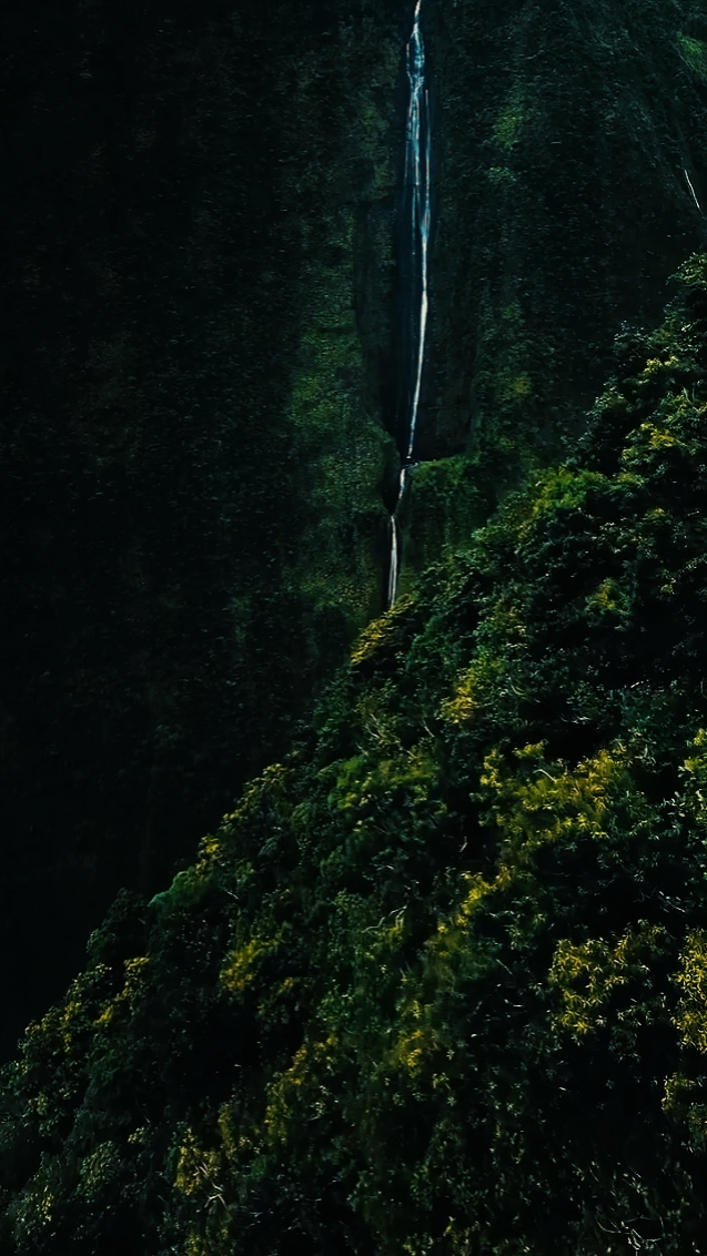 Aventura 