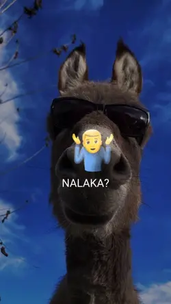 kankeğğ ne alakeğ