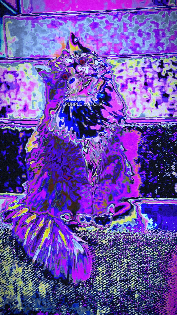 PURPLE MATCHA PET