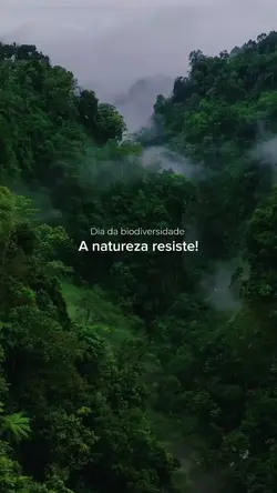 Biodiversidade 