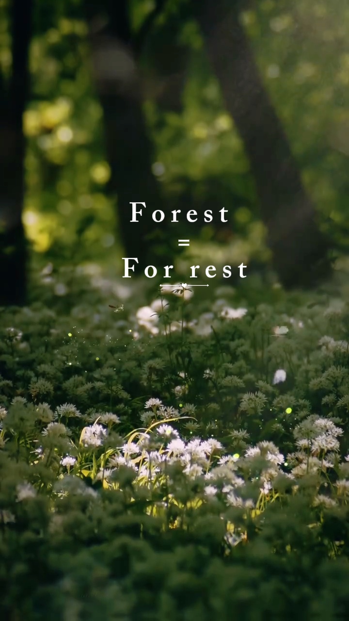 Forest vibes