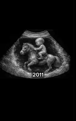 2011/2026
