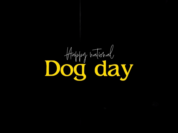 Feliz perro nacional 