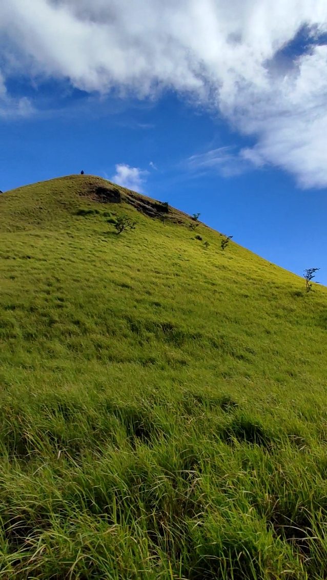 BUNDOK 