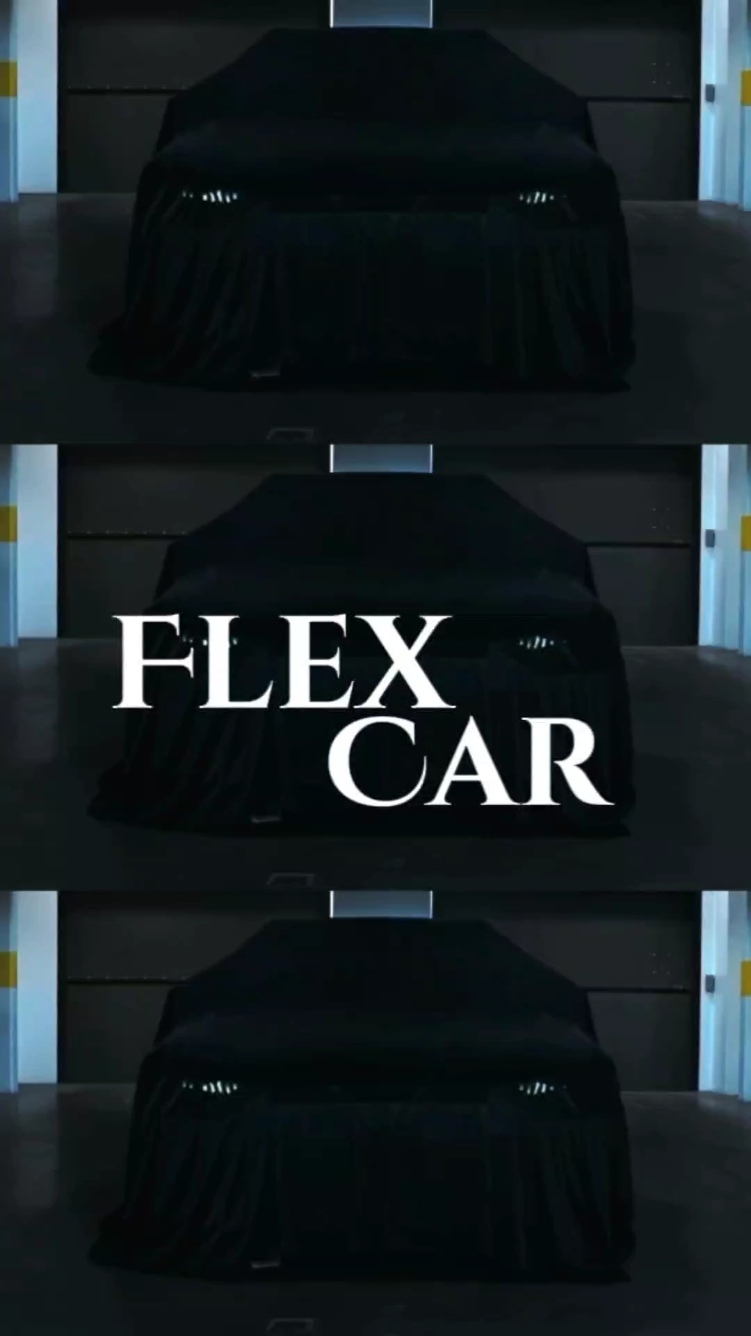 You flex car 