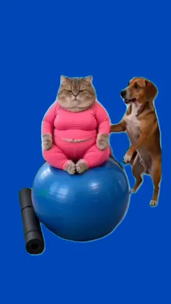 cat and dog yoga