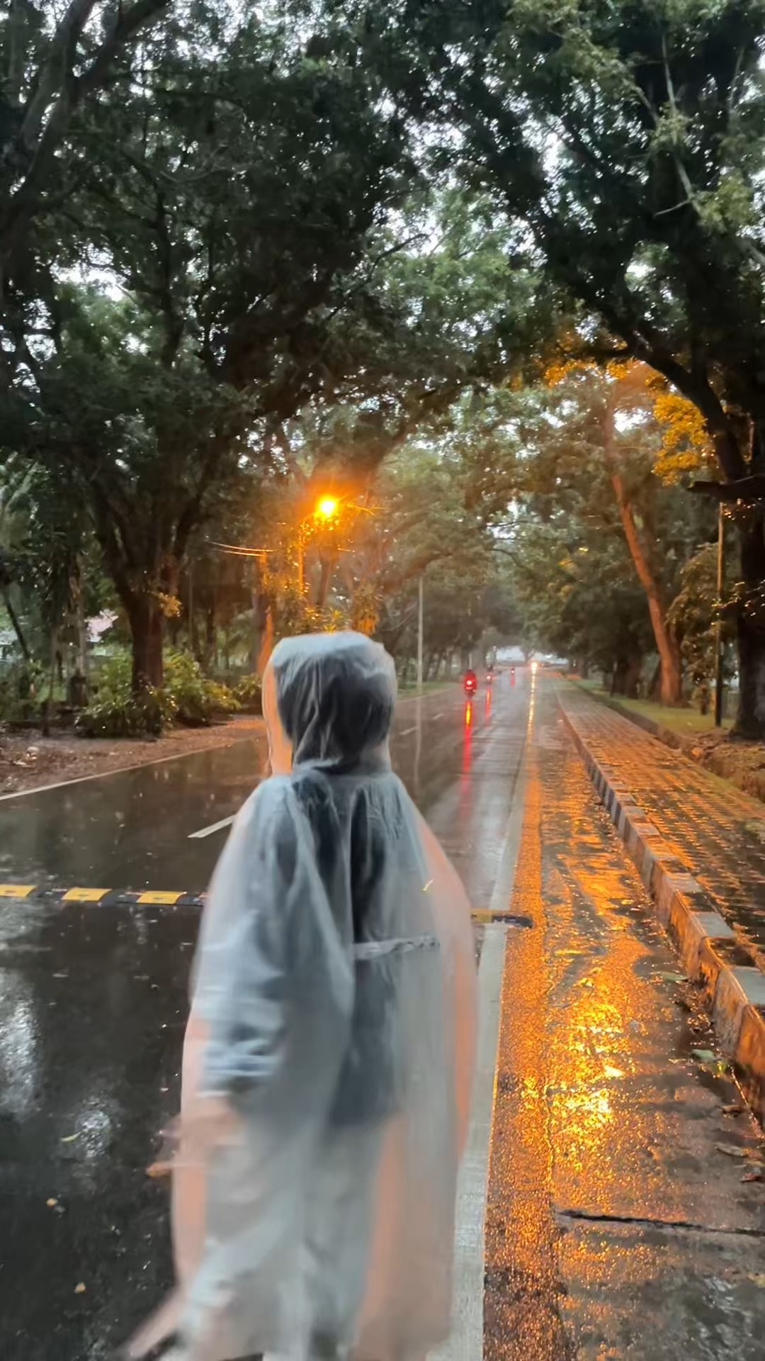 Canção do marinheiro