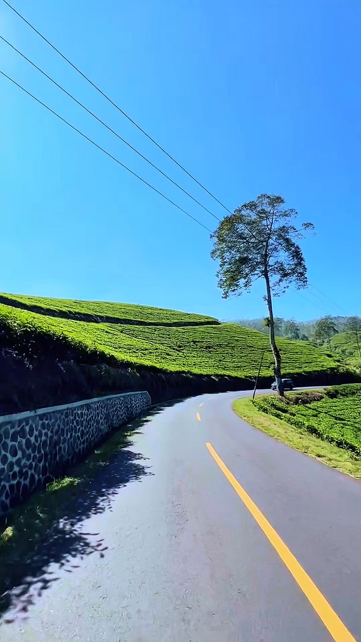 7 video road trip