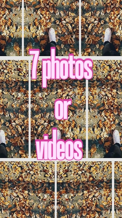7 photos or videos 