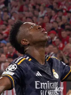 Vini x gata 🤩