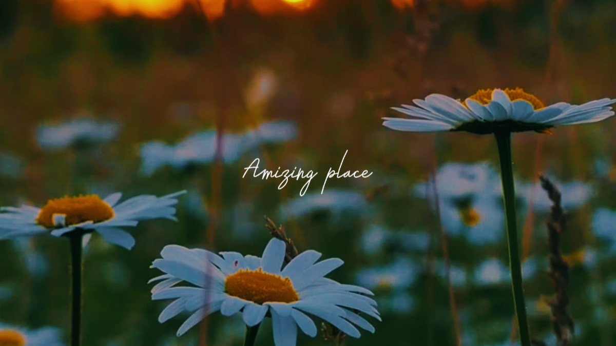 Amizing place