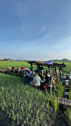 BAGAIKAN GELOMBANG