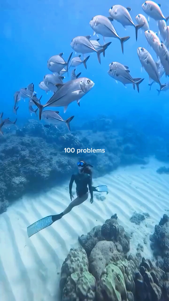 Su altında