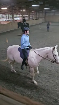 western bareback??