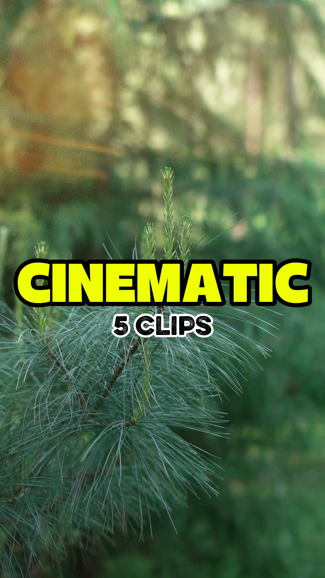 5 CLIPS CINEMÁTICOS 