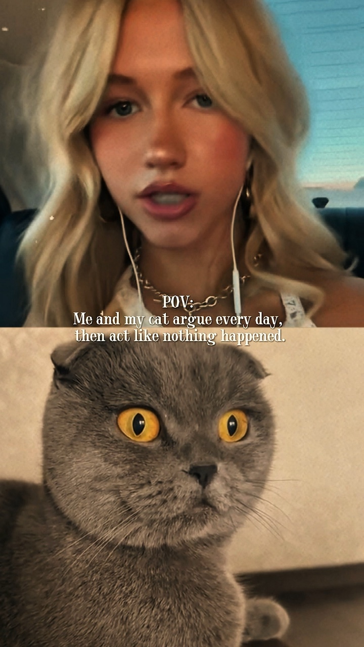 POV: Me and my cat