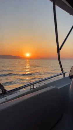 vibes senja