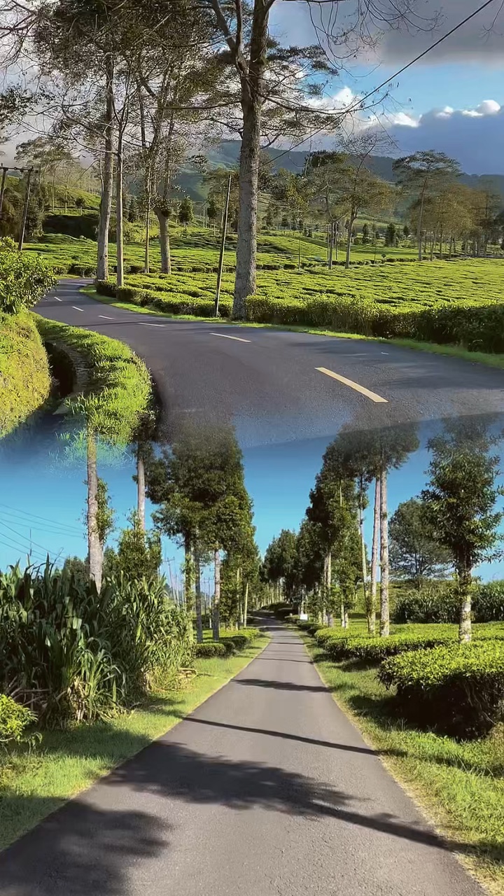 2 video 1 layout