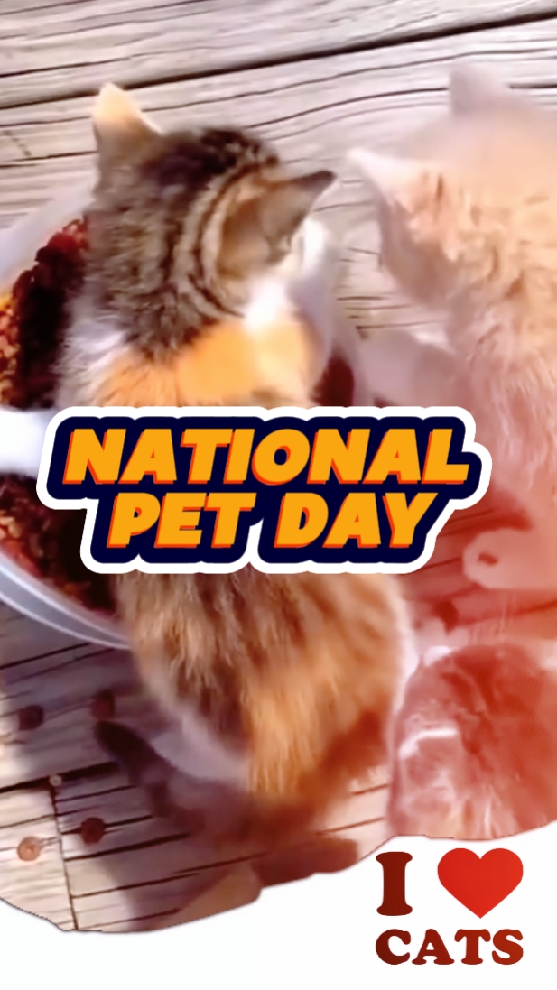Día Nacional de las Mascotas