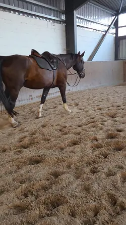 ohne benzin slowmo