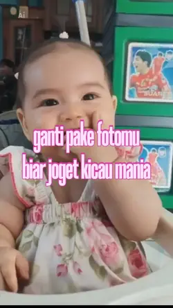 kicau mania baby dan