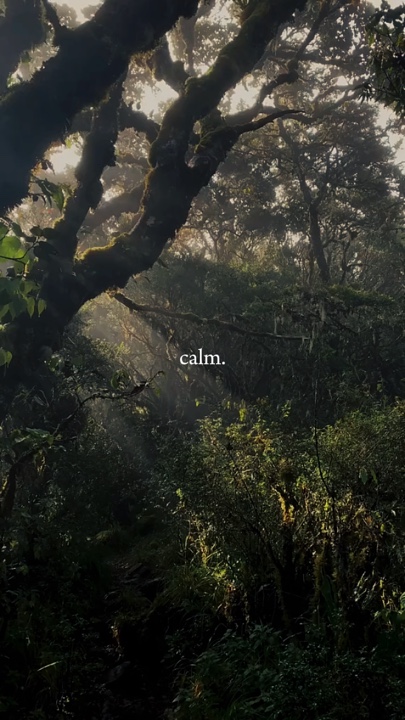 Calm 9video pendaki 