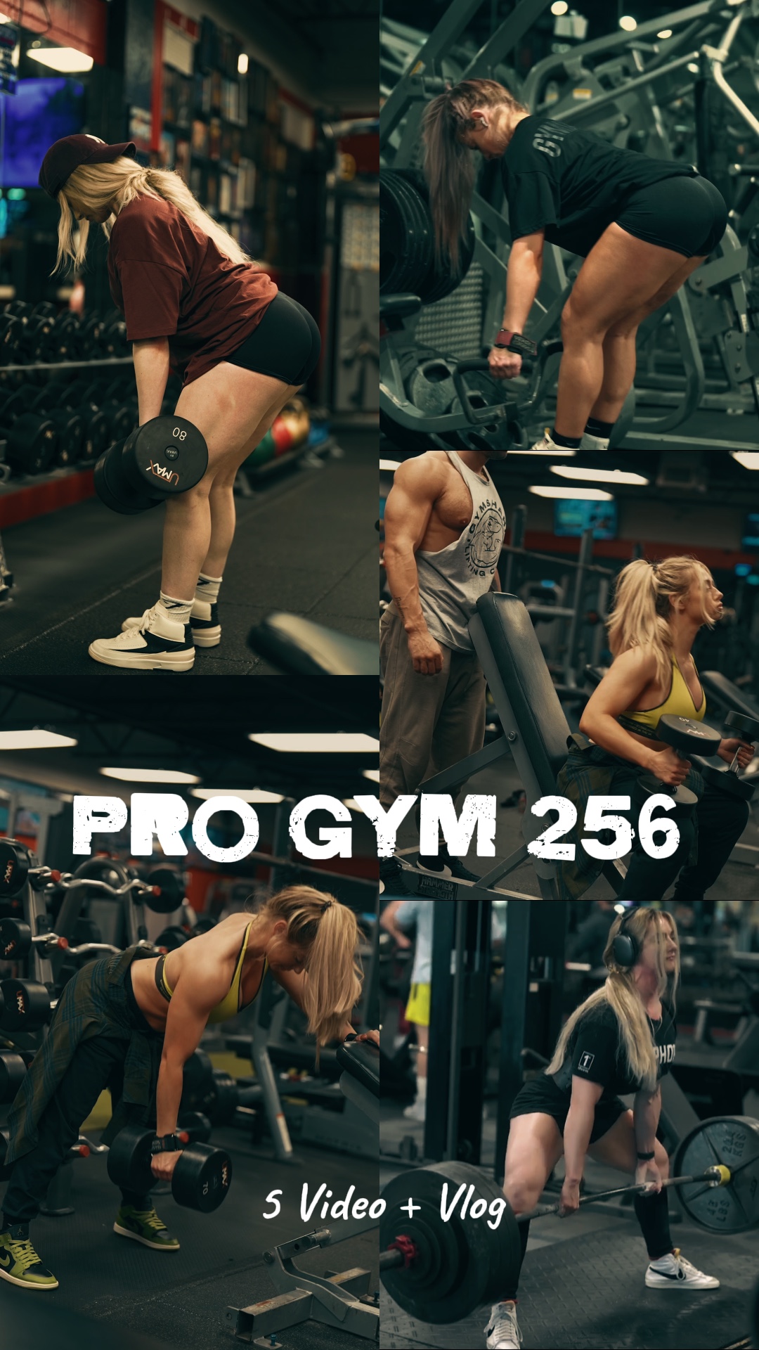 PRO GYM | 5 VIDEO