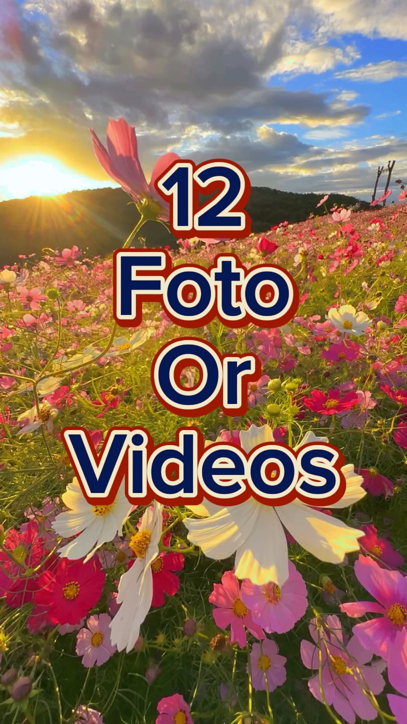 12 diapositivas de fotos