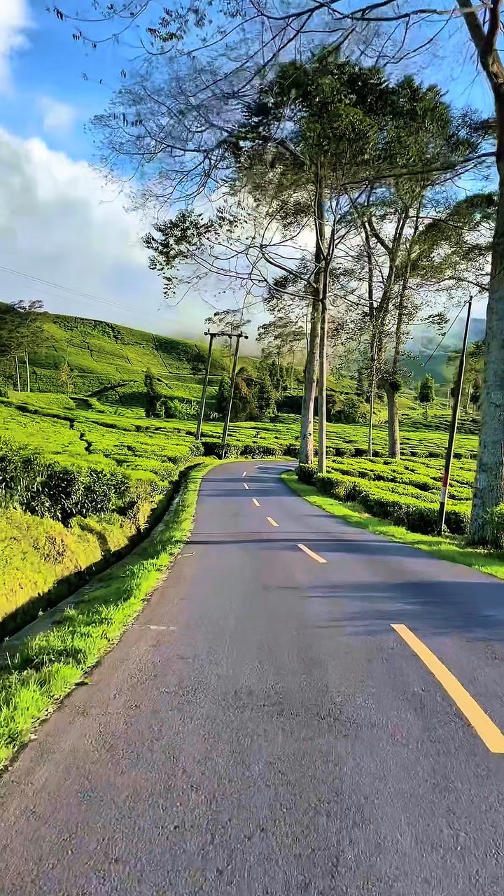 6 video road trip