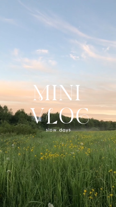 Mini Vlog