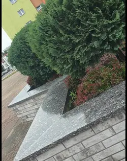 Nie jestem rosolem