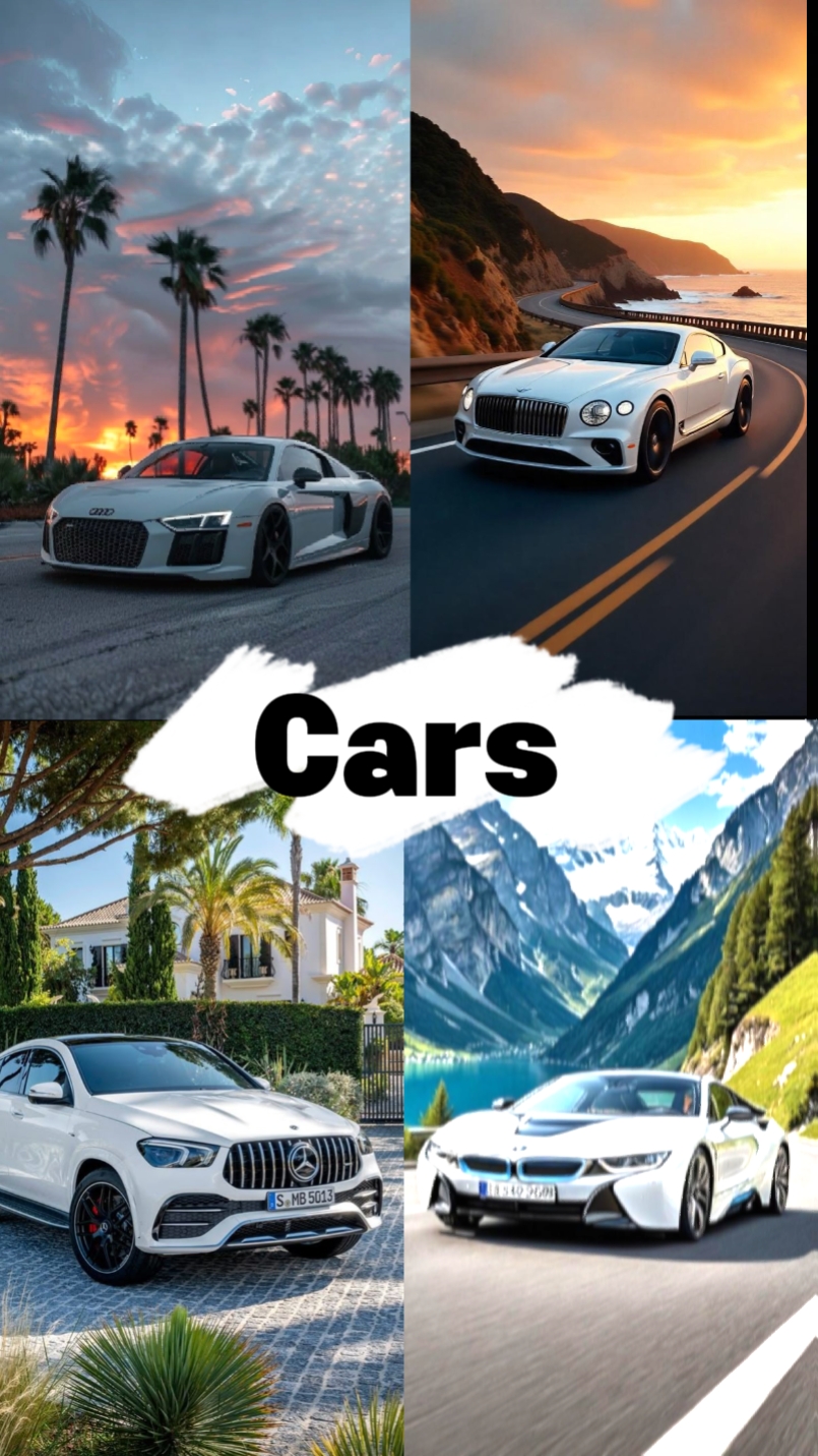Cars show off 