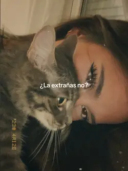 La extrañas no?