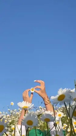 iyi olsun