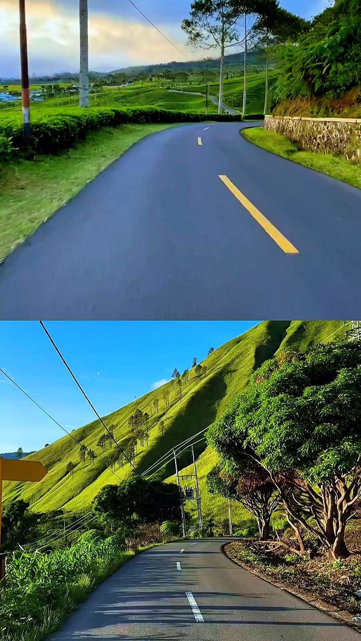 kolase road trip
