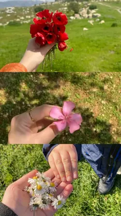 Küçük Mutluluklar