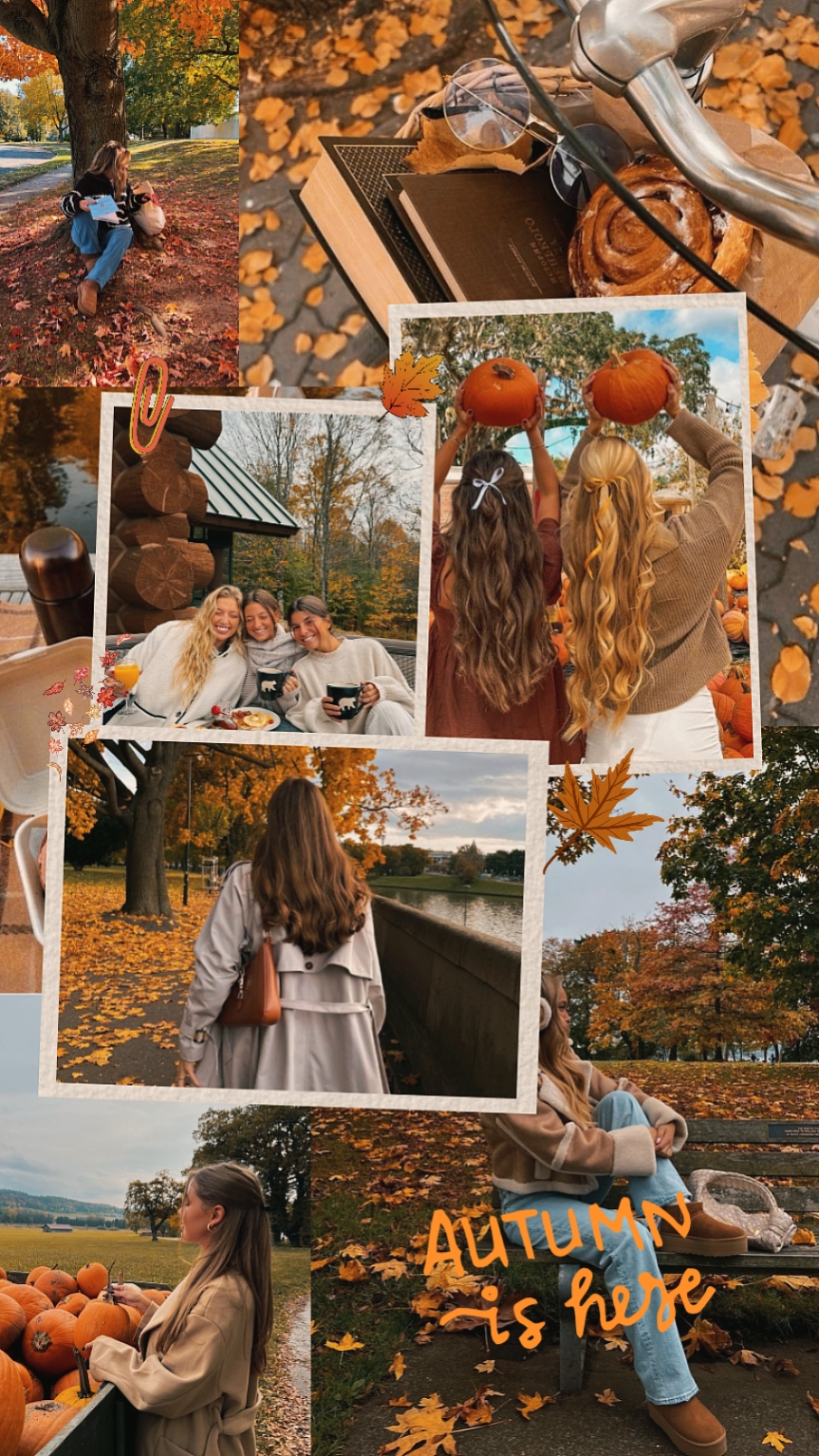 autumn is here
