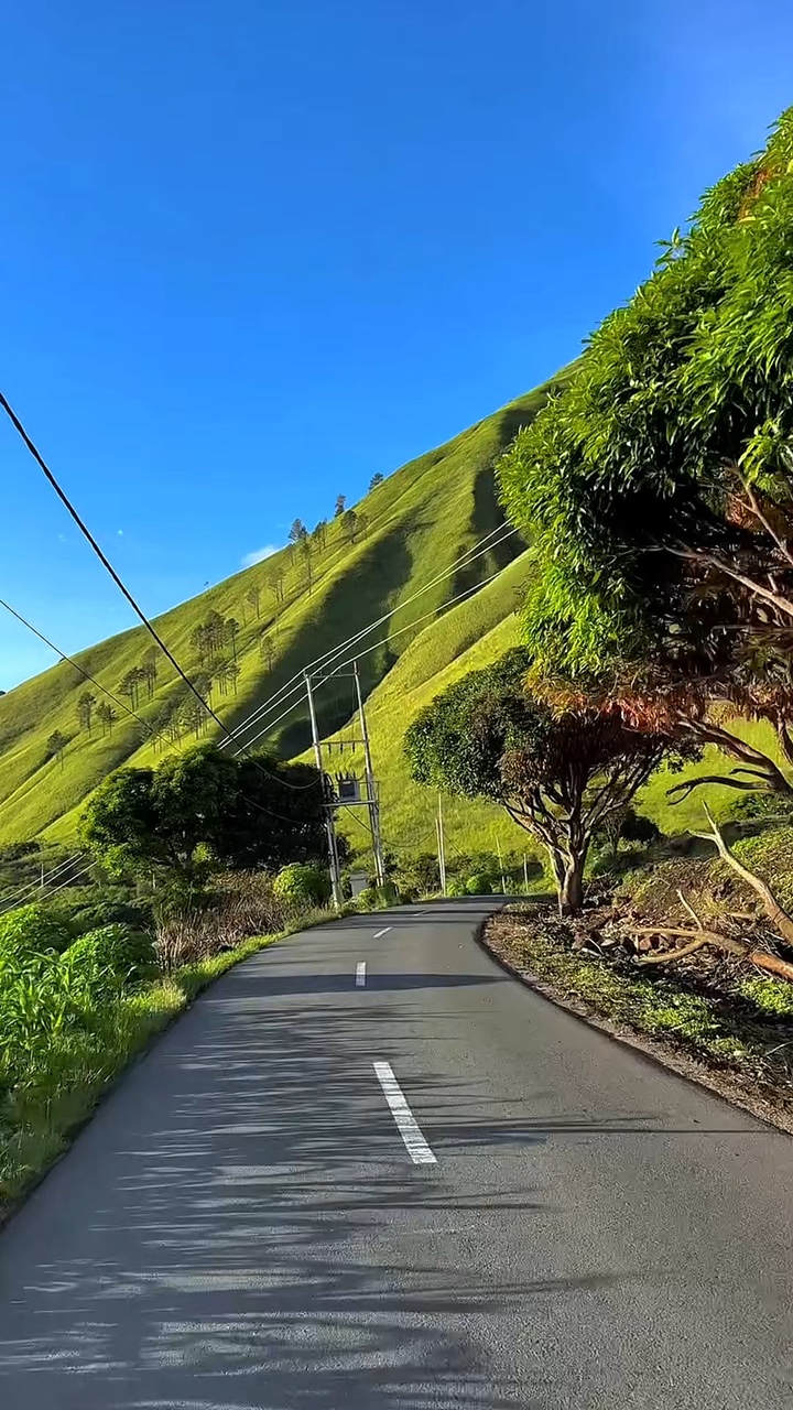 mountain roadtrip