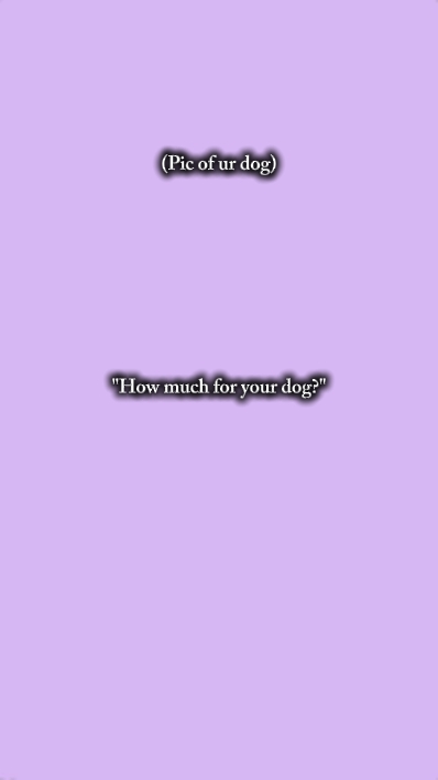 ¿Cuánto cuesta tu perro?