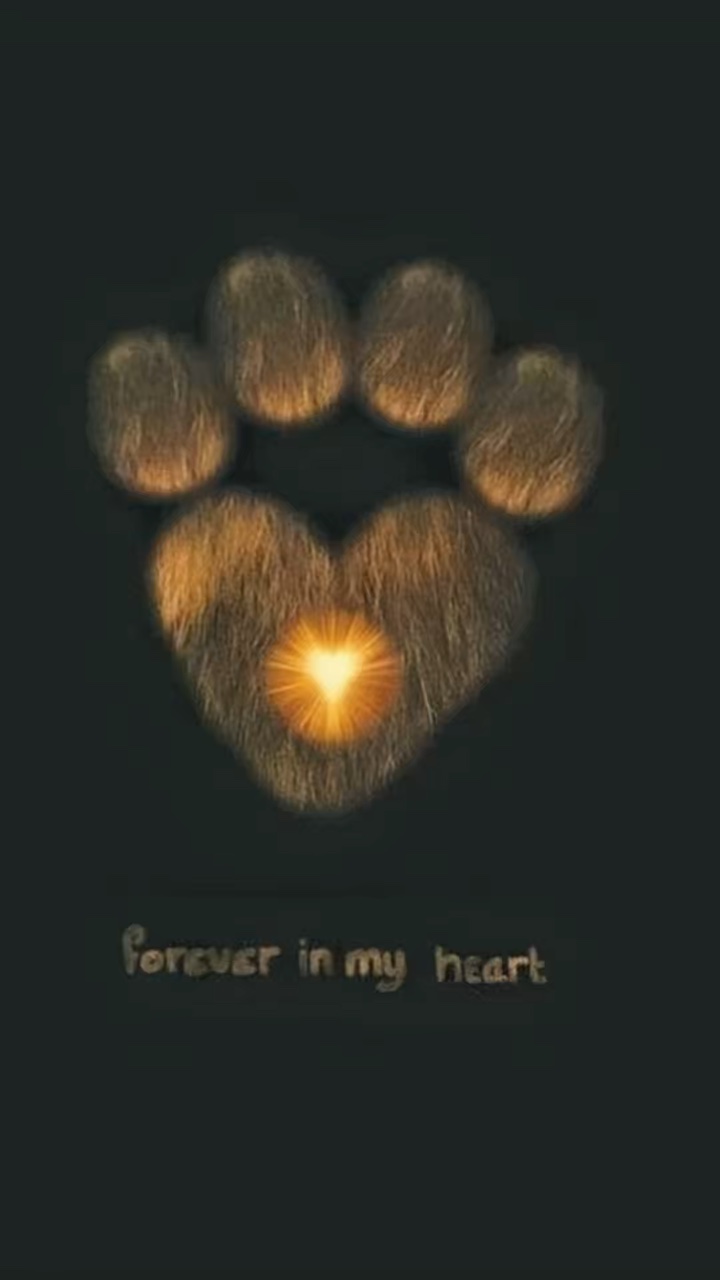 Dog rip
