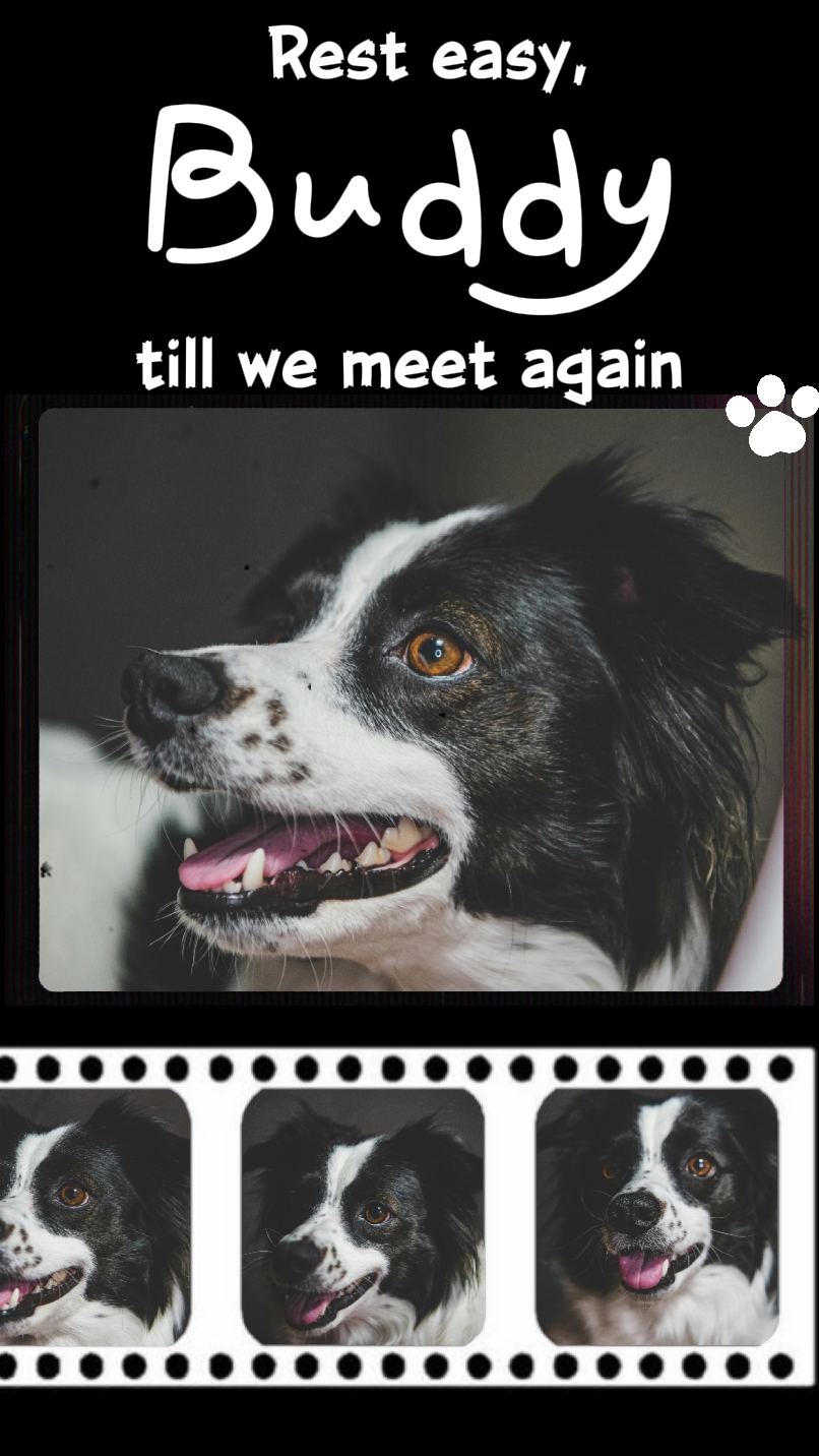 till we meet again
