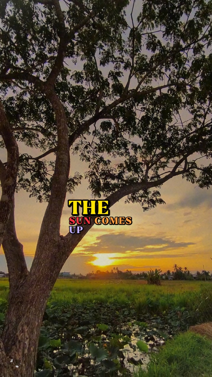 The sun comes up