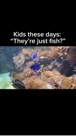 Kids don’t know ball