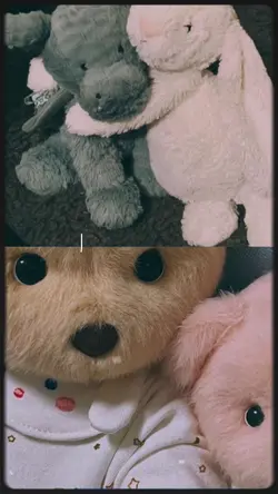 1y6m
